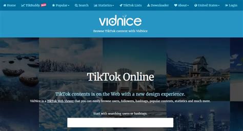 vidnice|my view on tiktok.
